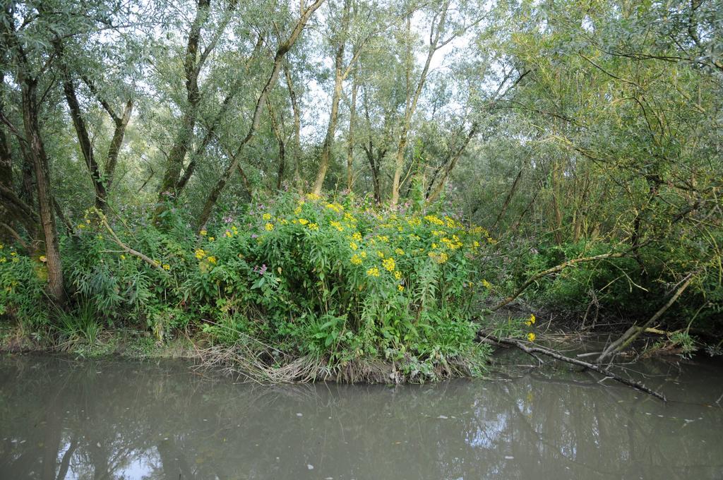 De Brabantse Biesbosch Hotel Werkendam