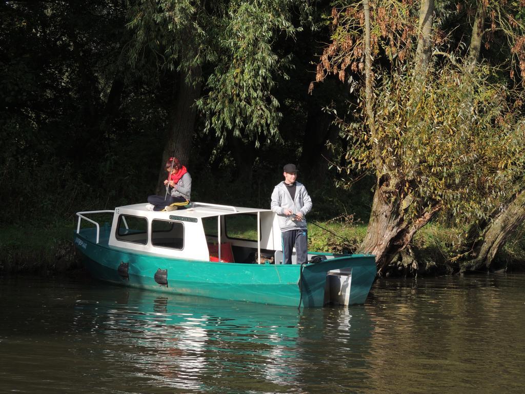 De Brabantse Biesbosch