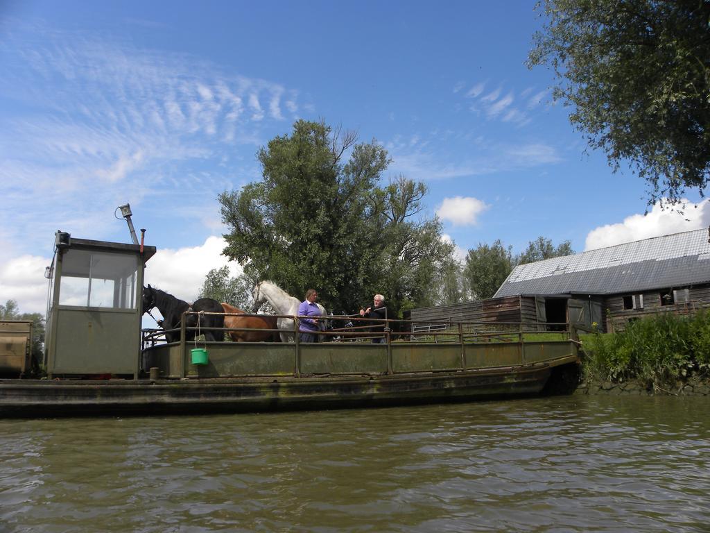De Brabantse Biesbosch Werkendam