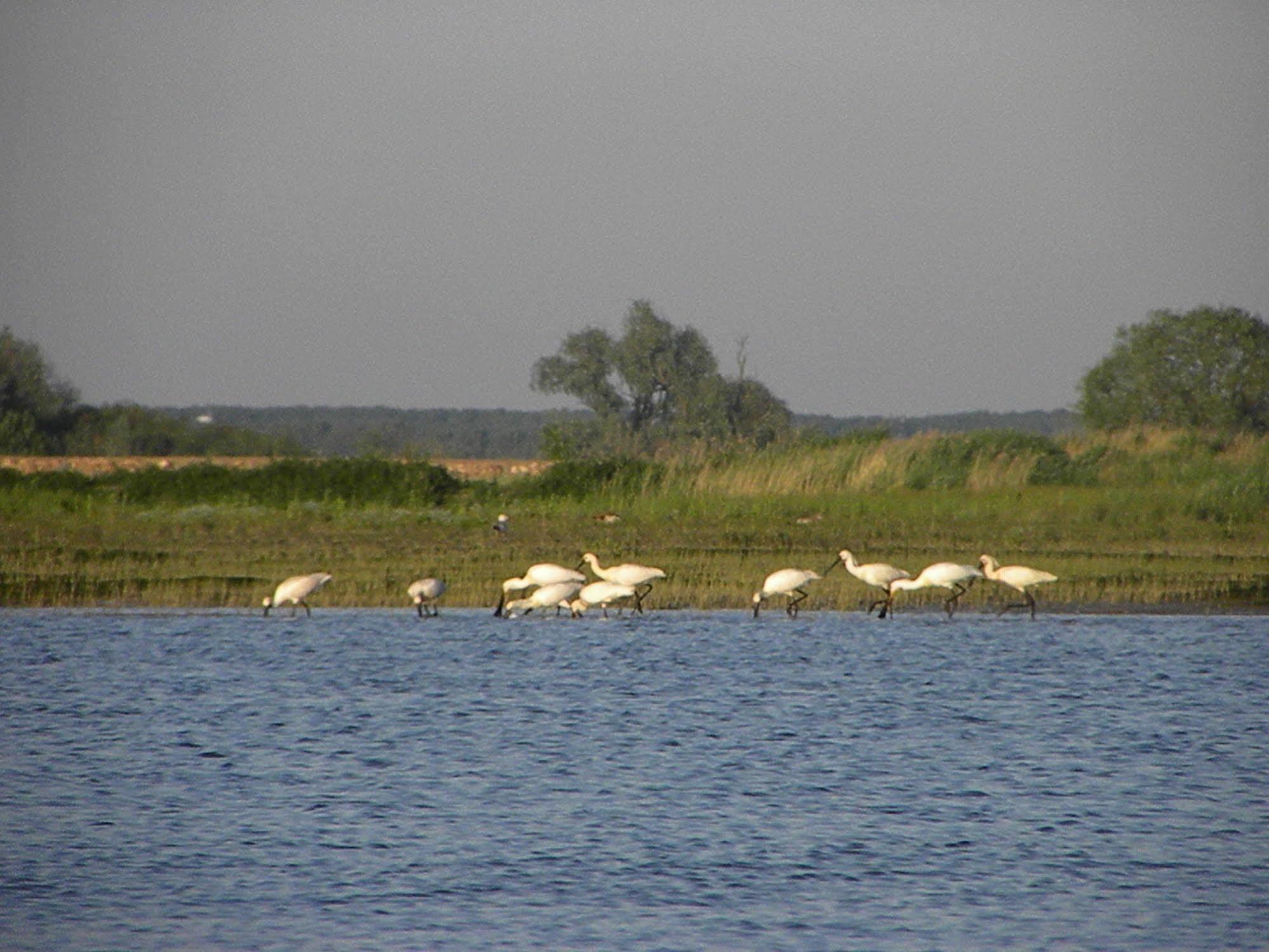 De Brabantse Biesbosch Werkendam